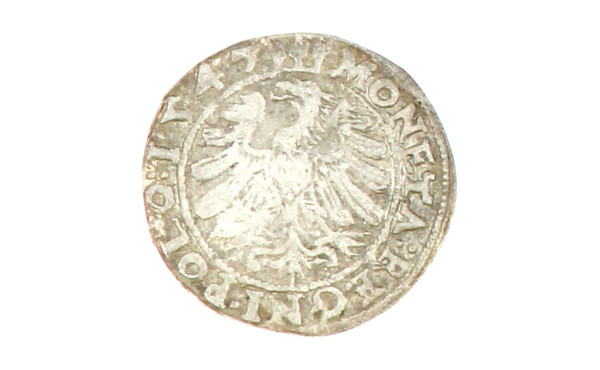 Pologne - Sigismond I Gros 1547 A/ Couro