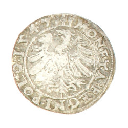 Pologne - Sigismond I Gros 1547 A/ Couro