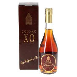 1 B COGNAC Tanguidé et fils XO 50 cl 40