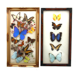 2 cadres garnis de papillons colorés, + 