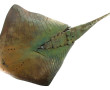 Sculpture en bois et métal peints en for