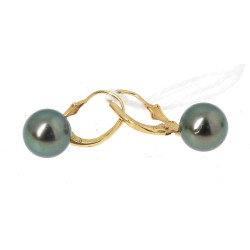 Paire de BO en or jaune 750ème et perles