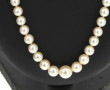 Collier de 79 perles de culture en chute