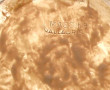 JEROME MASSIER (1850-1926) - Plat rond s