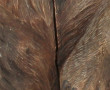 OURS - Sellette porte-plante en forme d'