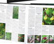 JARDINS - Lot de 2 ouvrages : "Le Grand 
