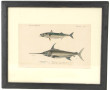 Lot de 12 petits tableaux et gravures, d