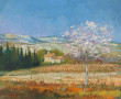 Suzanne M. (Xxème) "Barre du Cengle, Aix