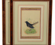 Deux gouaches persanes à décor d'oiseaux