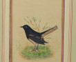 Deux gouaches persanes à décor d'oiseaux