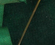 Epingle à cravate tête en or 14 cts, tig