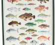 GUENNAL (Xxème) "Poissons, crustacés et 