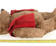 Ours en peluche ancien H. 52 cm