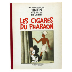 TINTIN - Les aventures de Tintin reporte