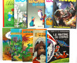 Lot de 25 BD diverses