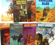 Lot de 13 BD rigides diverses