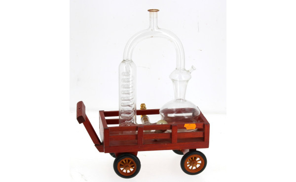Bouteille d'alcool fantaisie en forme d'