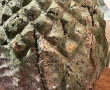 Deux décorations de jardin en terre cuit