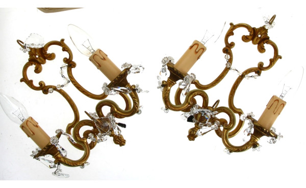 Paire d'appliques en bronze doré et pamp