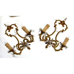 Paire d'appliques en bronze doré et pamp