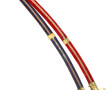 2 sabres décoratifs avec leurs fourreaux