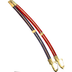 2 sabres décoratifs avec leurs fourreaux