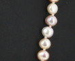 Collier shoker de perles blanches et ros