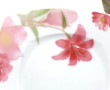 Service de table en porcelaine fleurie c