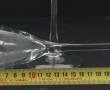 6 flûtes modernes en verre gravé, H 25,5