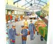 PLANCHES PEDAGOGIQUES - Lot de 7 planche