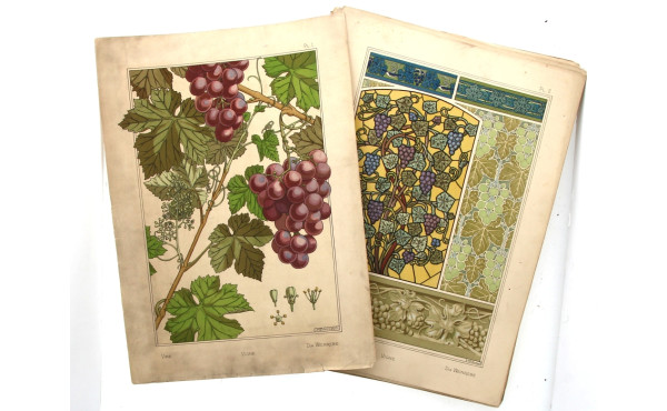 PLANCHES BOTANIQUES ART NOUVEAU - 41 pla