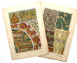 PLANCHES BOTANIQUES ART NOUVEAU - 41 pla
