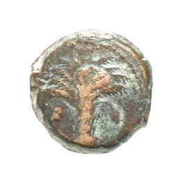 GRECE - Zeugitania Carthage AE 18 - R2 -