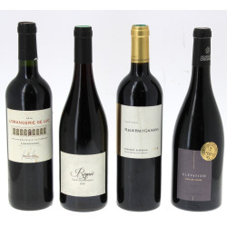 Lot de 4 B : Bordeaux supérieur 2019 : L