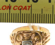 Bague en or jaune 18 carats, poids brut 
