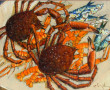 Robert Le RHUN (1936-2006) "Araignées, s