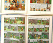 TINTIN - Lot de 2 BD dos jaune des année