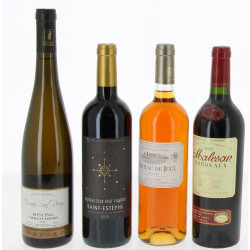 Lot de 4 bouteilles: 1 B St ESTEPHE Ch T