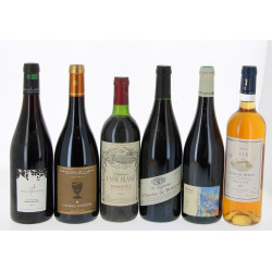 Lot de 6 bouteilles: IGP Coteaux des Bar