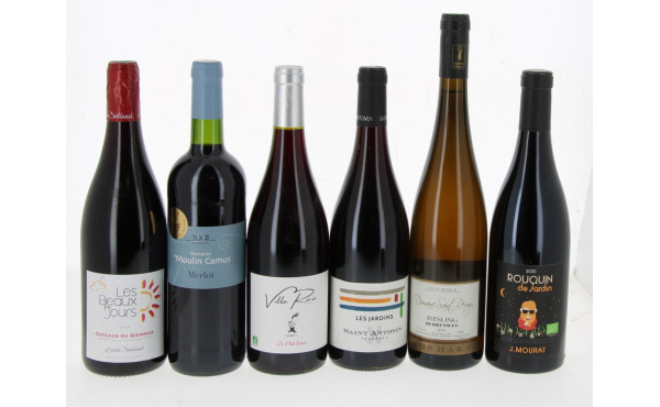 Lot de 6 bouteilles: Coteaux du Giennois