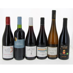 Lot de 6 bouteilles: Coteaux du Giennois