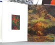 PHOTOGRAPHIES - Olivier FOLLMI - 3 livre