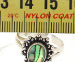 Bague argent 925ème sertie d'une coquill