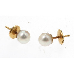 Paire de puces d'oreilles en or jaune 75