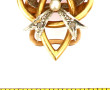 FRAIS REDUITS A 15 % - Petite broche cli
