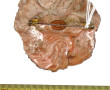 Richard DEVOYER (Créateur de bijoux, aya