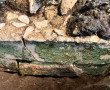 Décoration de jardin, Fin du XIXe siècle