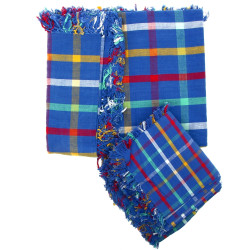 Nappe bleu à carreaux et 12 serviettes a