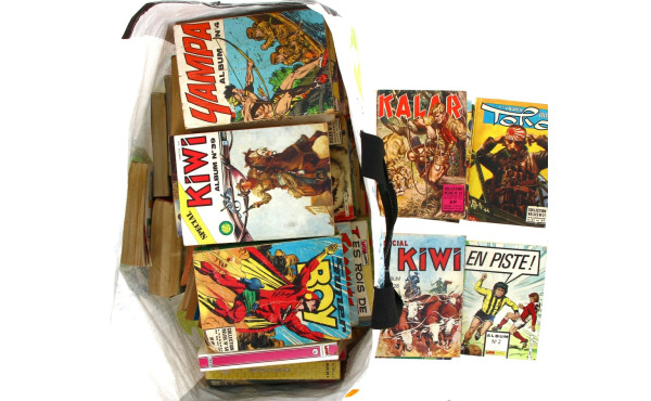 Lot de 46 BD petits formats épais des an