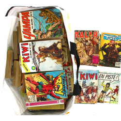 Lot de 46 BD petits formats épais des an